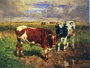 unknow artist Young bulls at a watering place oil painting on canvas